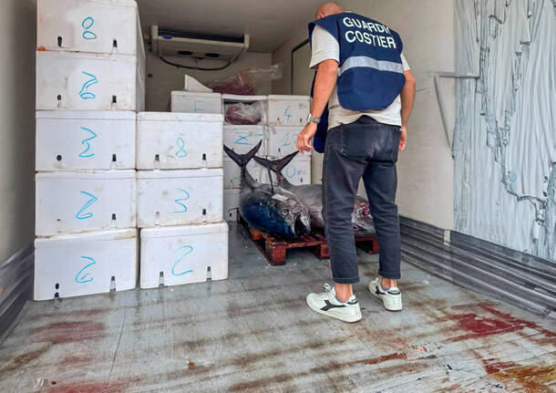 sequestro pesce