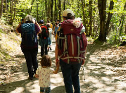 Tappa 8 Cammino Lago Maggiore