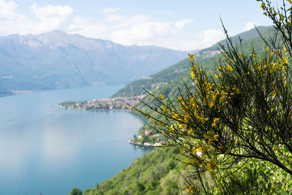 Tappa 8 Cammino Lago Maggiore
