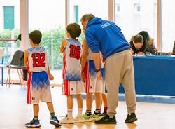 varese young eagles