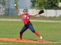 vikings softball malnate