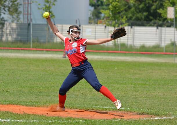 vikings softball malnate