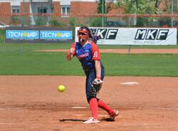 vikings softball malnate