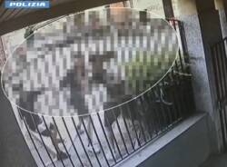 accoltellamento gallarate