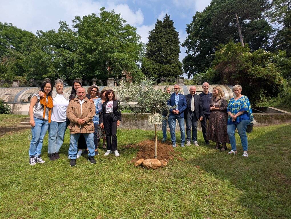 Albero per Daniele a Gazzada Schianno