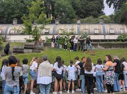 Albero per Daniele a Gazzada Schianno