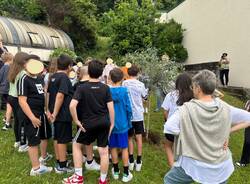 Albero per Daniele a Gazzada Schianno