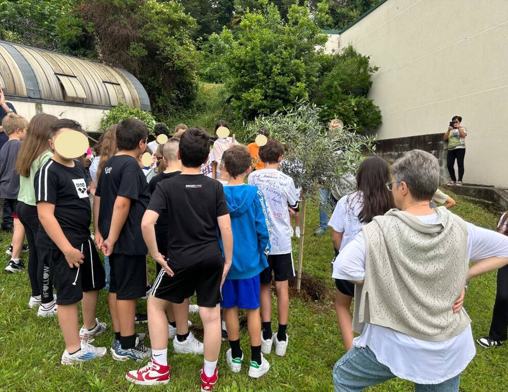 Albero per Daniele a Gazzada Schianno