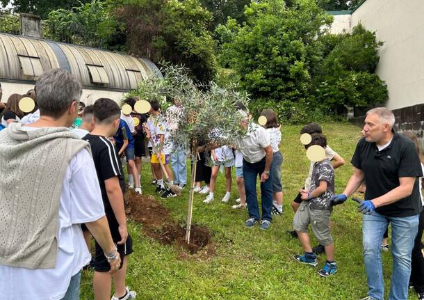 Ultimo giorno delle elementari, un ulivo nel giardino della scuola di Gazzada Schianno in memoria di Daniele