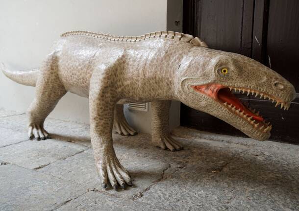 Il Museo dei Fossili di Besano