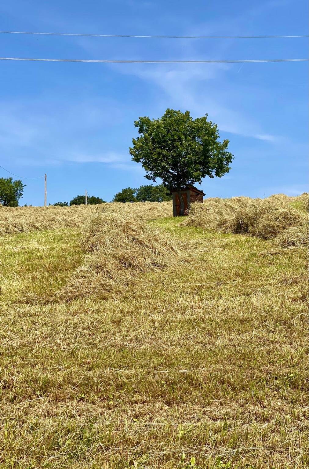 Cammino dell’Unione - quinta tappa 
