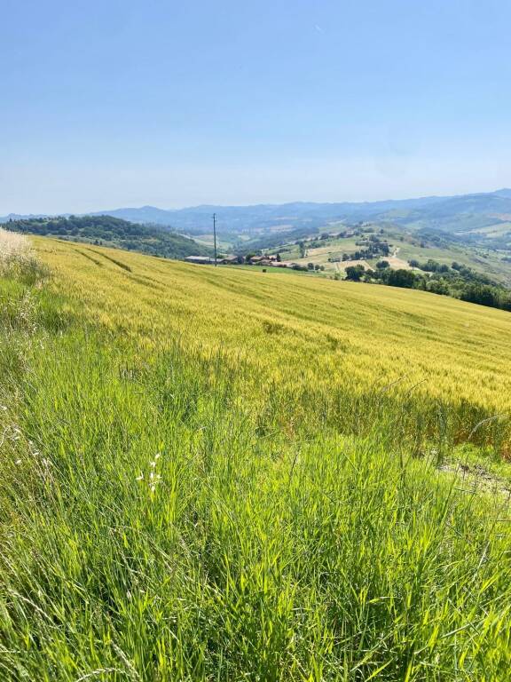 Cammino dell’Unione - quinta tappa 