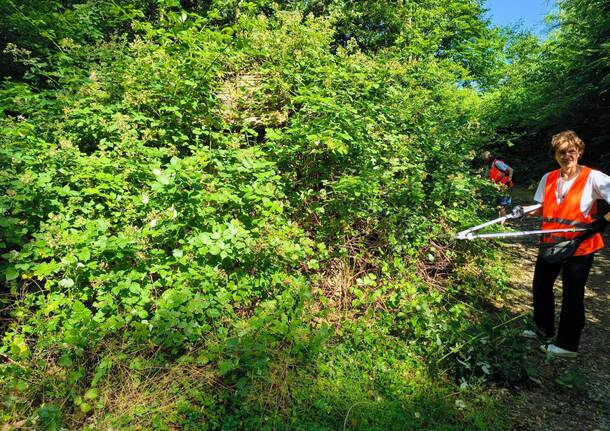 I volontari di Cardano ripuliscono il “ponte del Gabibbo”