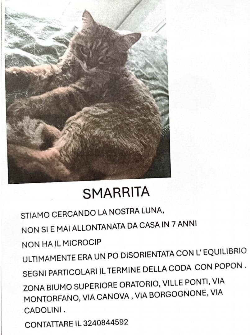 SMARRITA IN  VIA MONTORFANO VARESE