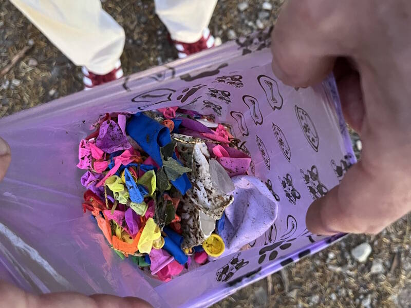 Sampietrini staccati e palloncini abbandonati al Parco Mantegazza
