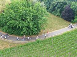 Inaugurata la Via delle Api