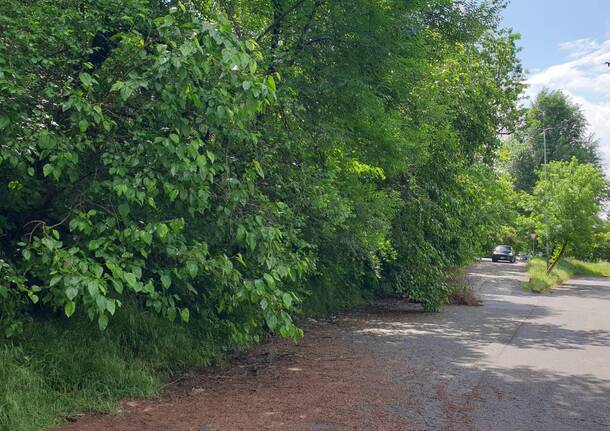 Parcheggio tra Via Canazza e Via Santì Erasmo, residenti esasperati dal degrado