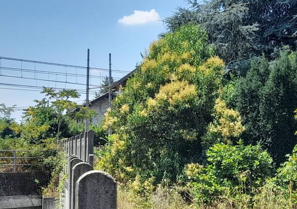 Ex casa del casellante