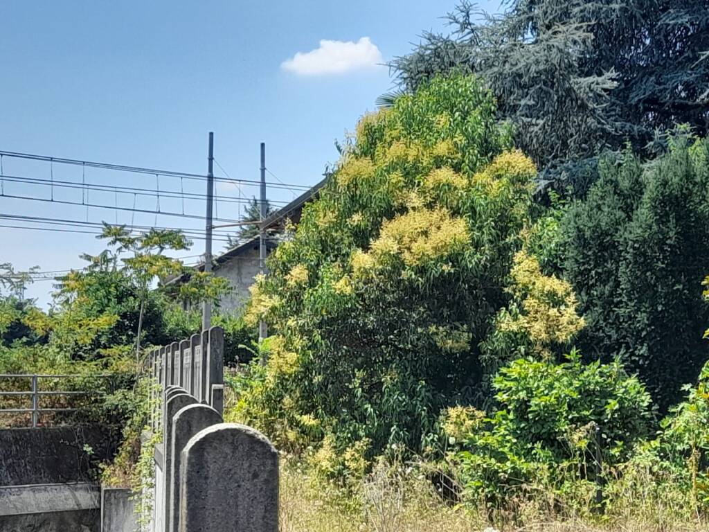 Ex casa del casellante