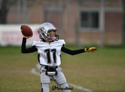 Frogs Legnano