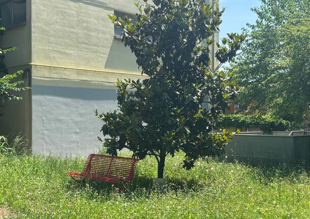 gallarate generico