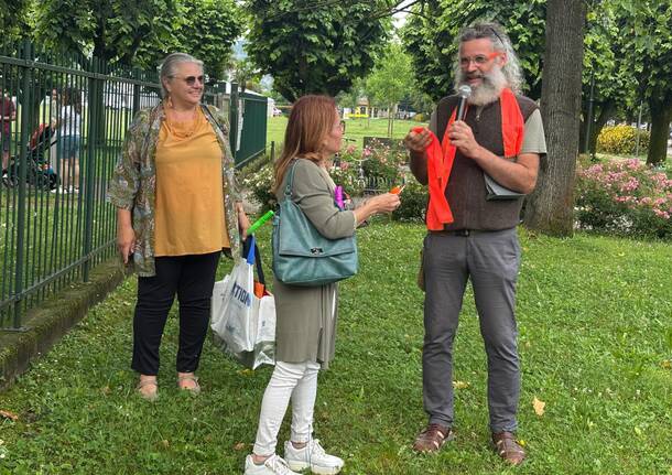 Il Kaki della pace ad Angera