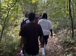 Migranti