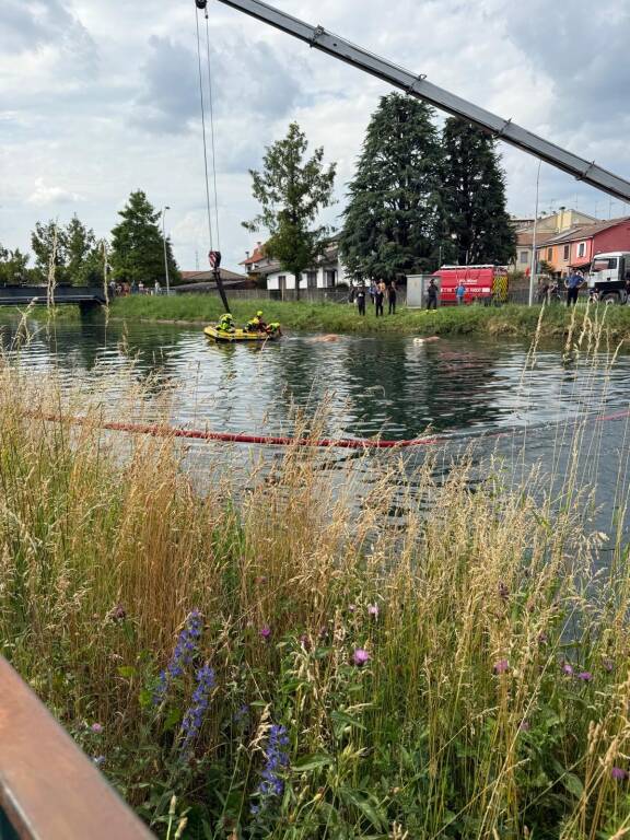 Mucche nel Villoresi: operazioni di recupero 