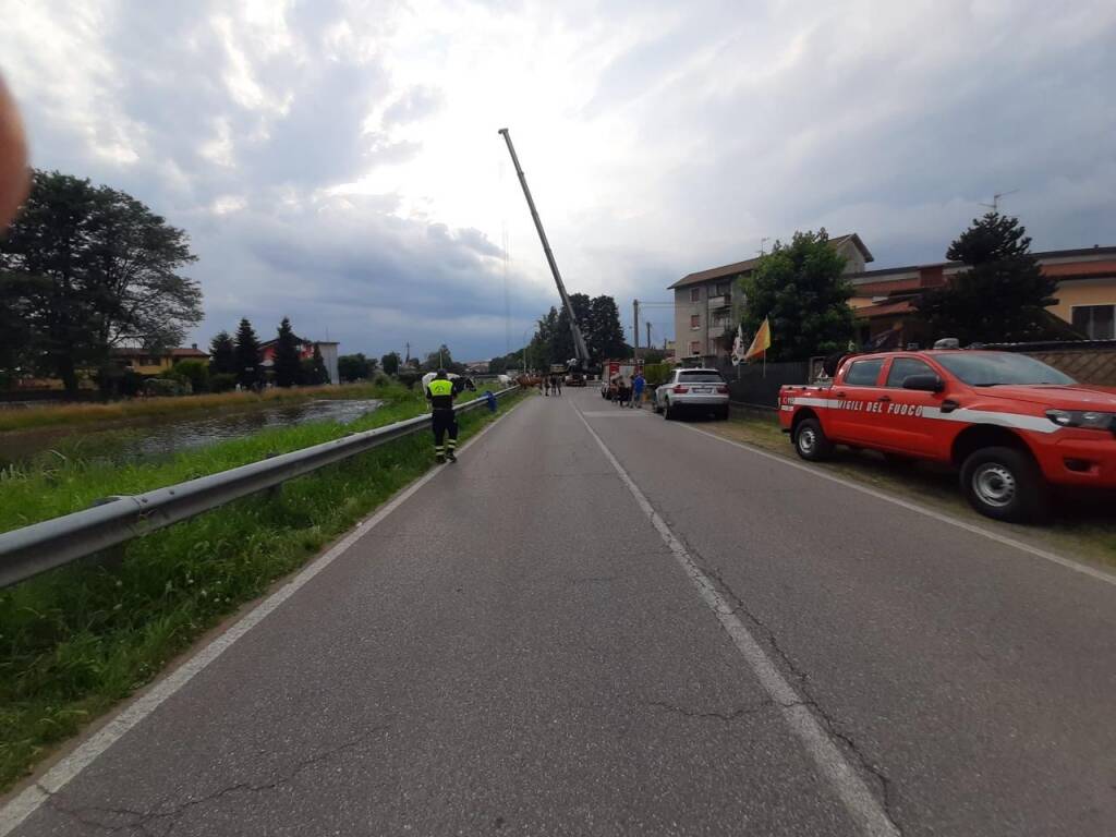 Mucche nel Villoresi: operazioni di recupero 