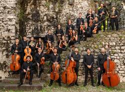 orchestra canova