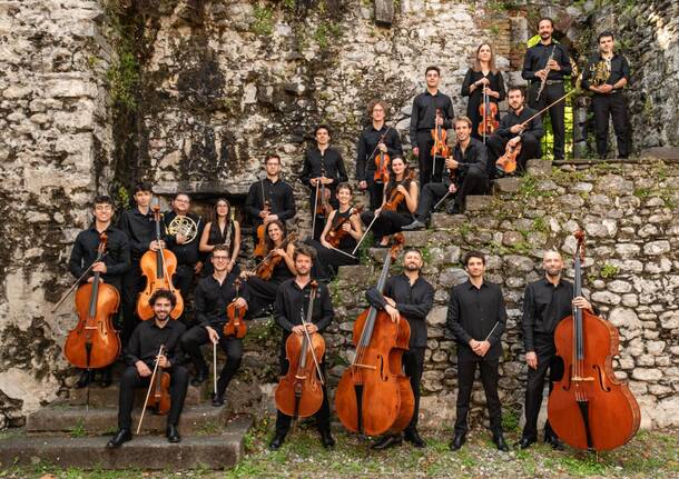 orchestra canova