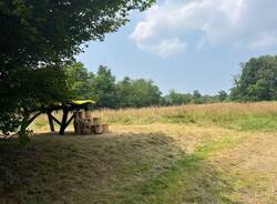 Panchina gialla simile