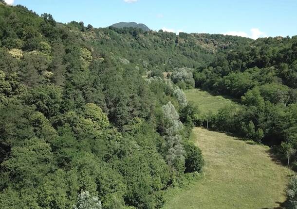parco della bevera