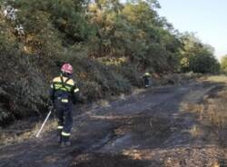 Principio di incendio nella zona boschiva tra Cerro Maggiore e San Vittore Olona