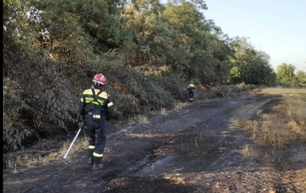 Principio di incendio nella zona boschiva tra Cerro Maggiore e San Vittore Olona