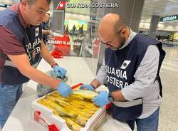 Prodotti ittici illegali tra i bagagli di Malpensa