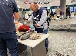 Prodotti ittici illegali tra i bagagli di Malpensa