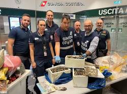 Prodotti ittici illegali tra i bagagli di Malpensa