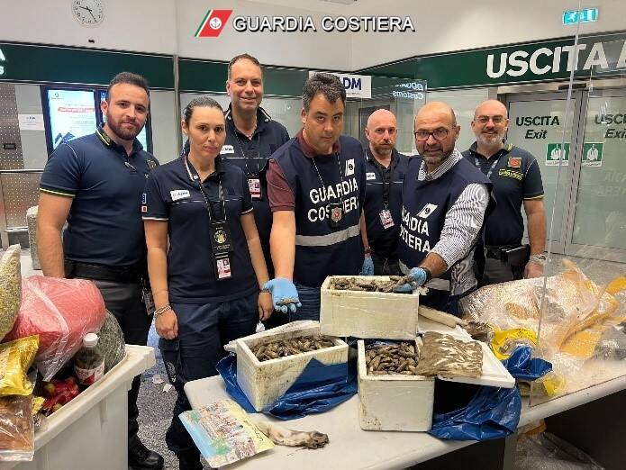 Prodotti ittici illegali tra i bagagli di Malpensa