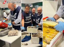 Prodotti ittici illegali tra i bagagli di Malpensa