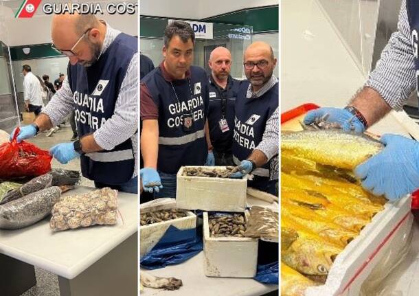 Prodotti ittici illegali tra i bagagli di Malpensa
