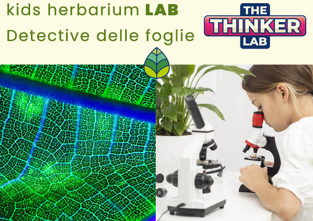 herbarium