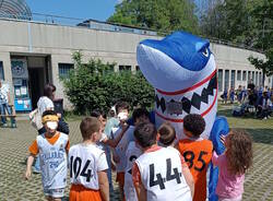 sharkfest albizzate