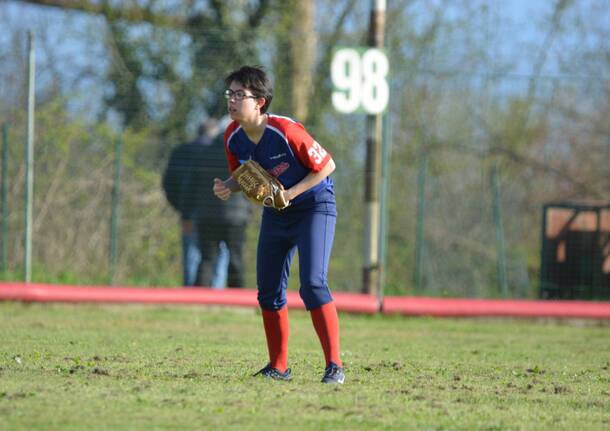 softball vikings malnate