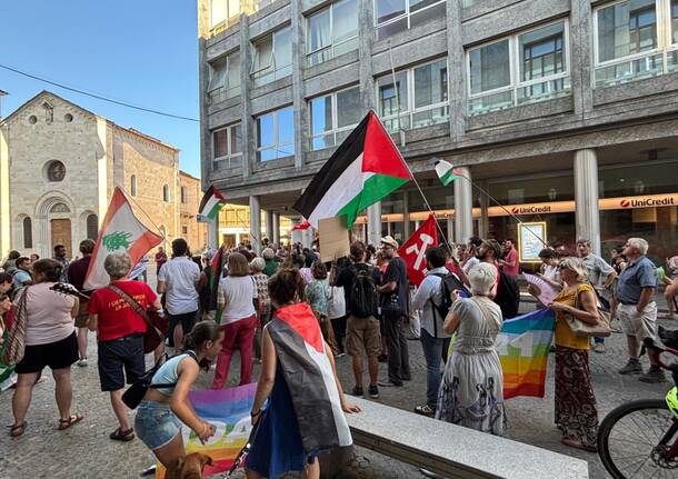 Il corteo di Fridays for future Varese per la pace e la Palestina