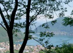 artech for unesco monte san giorgio