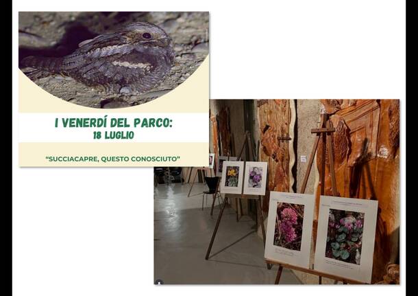 \"I venerdì del parco\" tornano a Brinzio con una serata \"a tutta natura\"