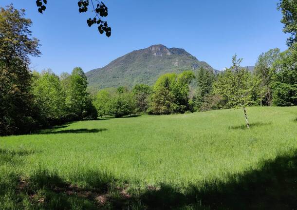 Weekend di eventi nel Parco Campo dei Fiori: natura, volontariato ed esplorazioni per tutti!