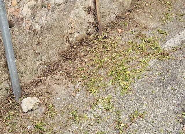 Erbacce e tombini intasati a Casbeno