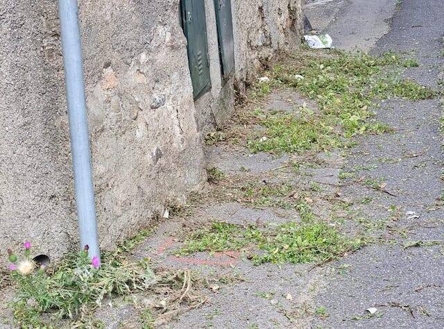 Erbacce e tombini intasati a Casbeno